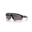 Oakley Radar Ev Xs Path Youth Fit OO-9001-22 In Prizm Grey Lenses/Matte Black Frame