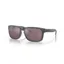 Oakley Holbrook OO-9102-B5 In Prizm Daily Polarized Lenses/Steel Frame