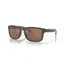 Oakley Holbrook OO-9102-W8 In Prizm Tungsten Polarized Lenses/Olive Ink Frame