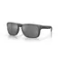 Oakley Holbrook Xl OO-9417-30 In Prizm Black Polarized Lenses/Steel Frame
