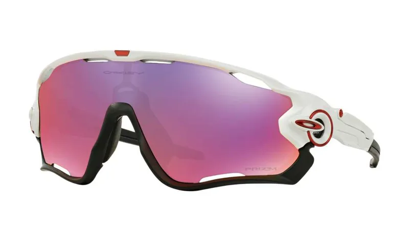 Oakley Sunglasses Jawbreaker Injected Man 