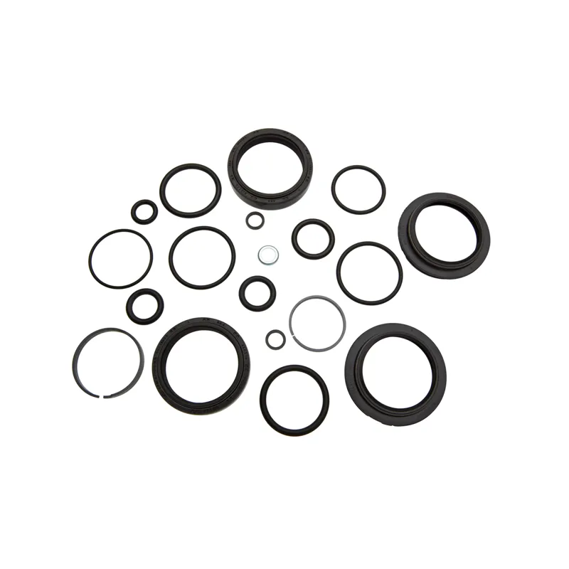 Rockshox pike full shop service