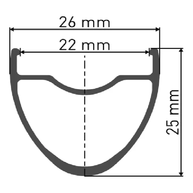 DT Swiss er14 Di C Db Fr Graphite front - 21 mm aluminium clincher 12 x 100 mm-3