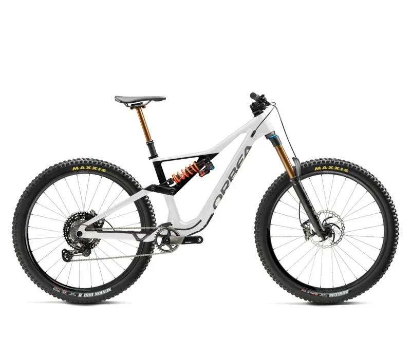 Orbea Rallon M-Ltd Mountain Bike Custom