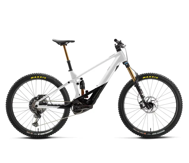 Orbea Wild M Ltd Mountain Bike Custom