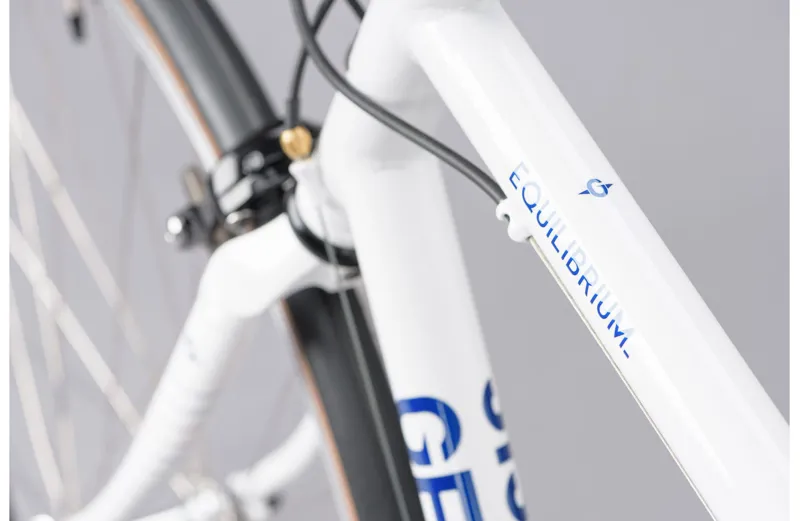2021 Genesis Equilibrium Steel Road Bike in White-4