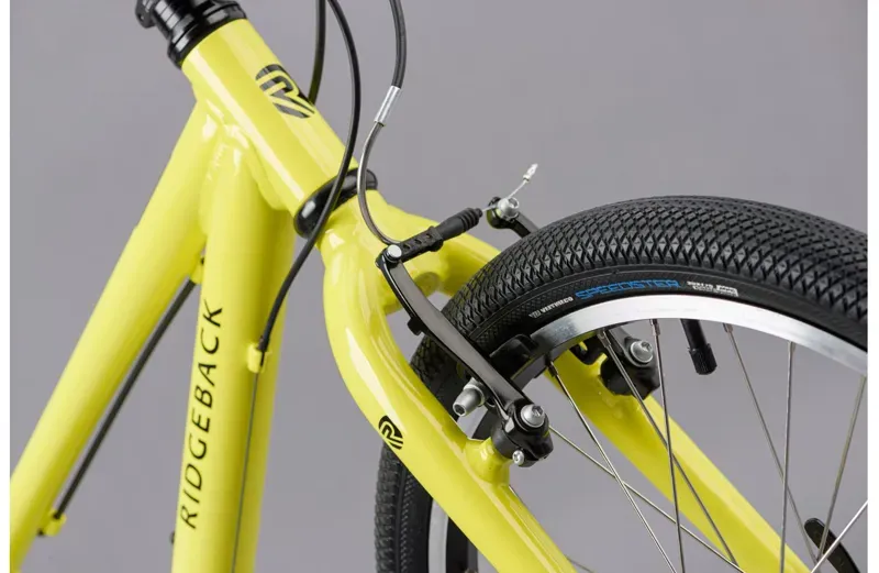 Ridgeback Dimension 20 Kids Bike in Green-4