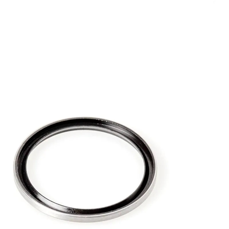 DT Swiss Seal for Ratchet Freehub body and hub shell fits 180 240 and 350-1