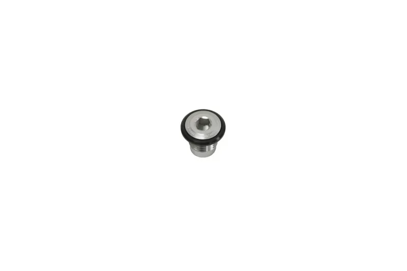 Hope Thru Axle Bolt - UDH - Silver
