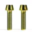 Halo DJD and MT Supadrive SS Titanium Bolts in Gold
