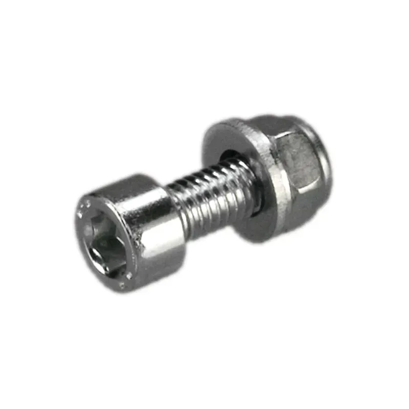 Rohloff Speedhub Axle Plate Bolt in Silver