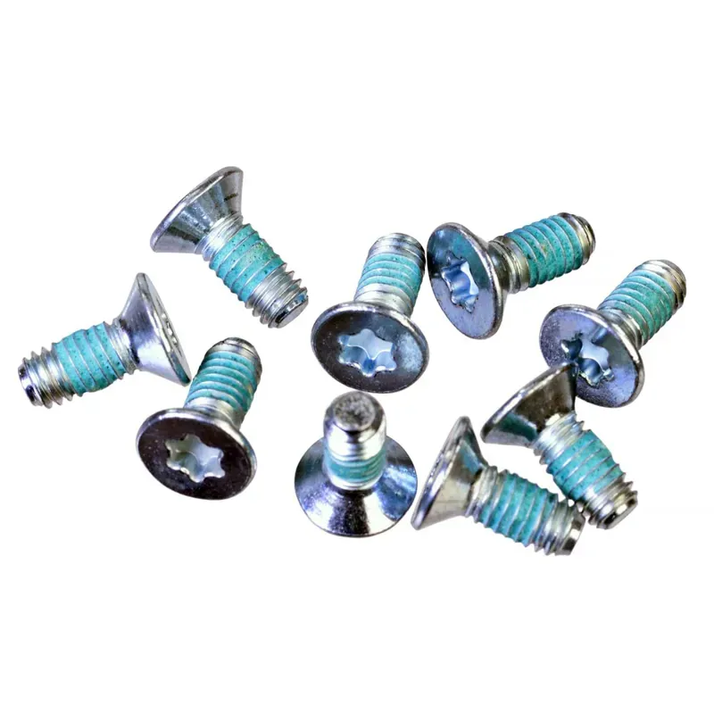 Rohloff Speedhub Torx Hub Cap Screws in Silver