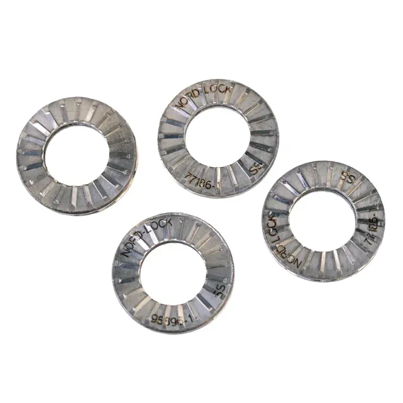 Rohloff Speedhub A12 Washers in Silver