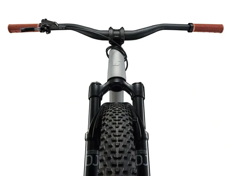 Liv STP 26 Liv Mountain Bike in Silver-5