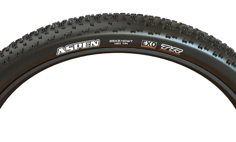 Maxxis Aspen Folding 29x2.00-inch EXO TR Tire in Black-1