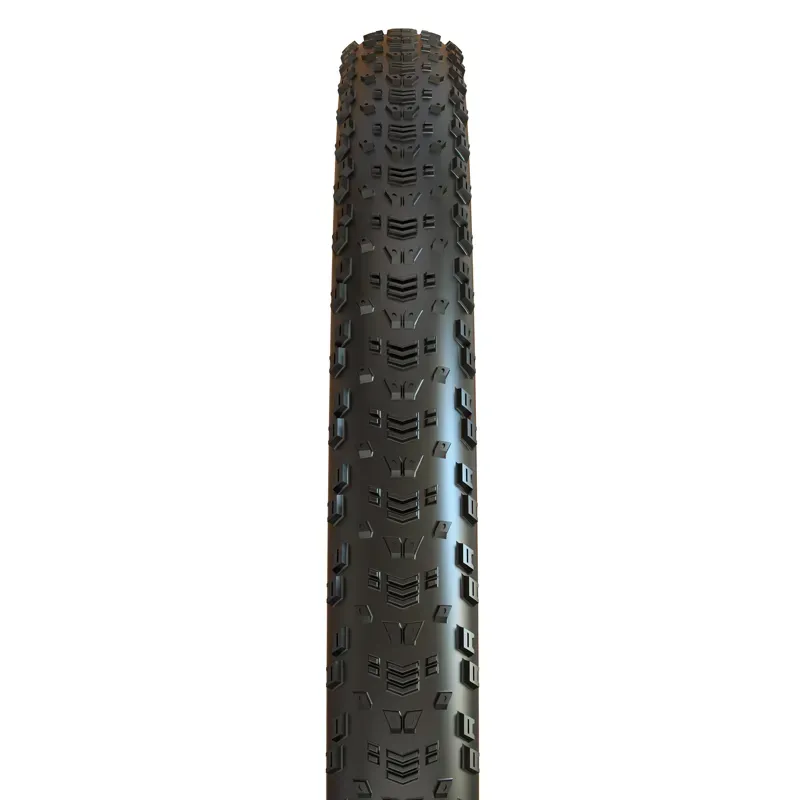 Maxxis Aspen Folding 29x2.00-inch EXO TR Tire in Black-2