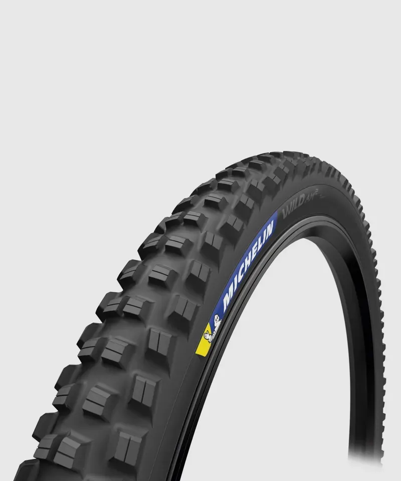 Michelin Wild AM2 Tyre