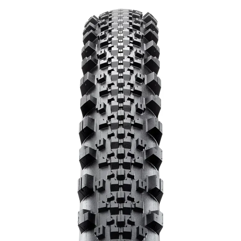 Maxxis Minion SS Folding EXO TR Tyre in Black-1