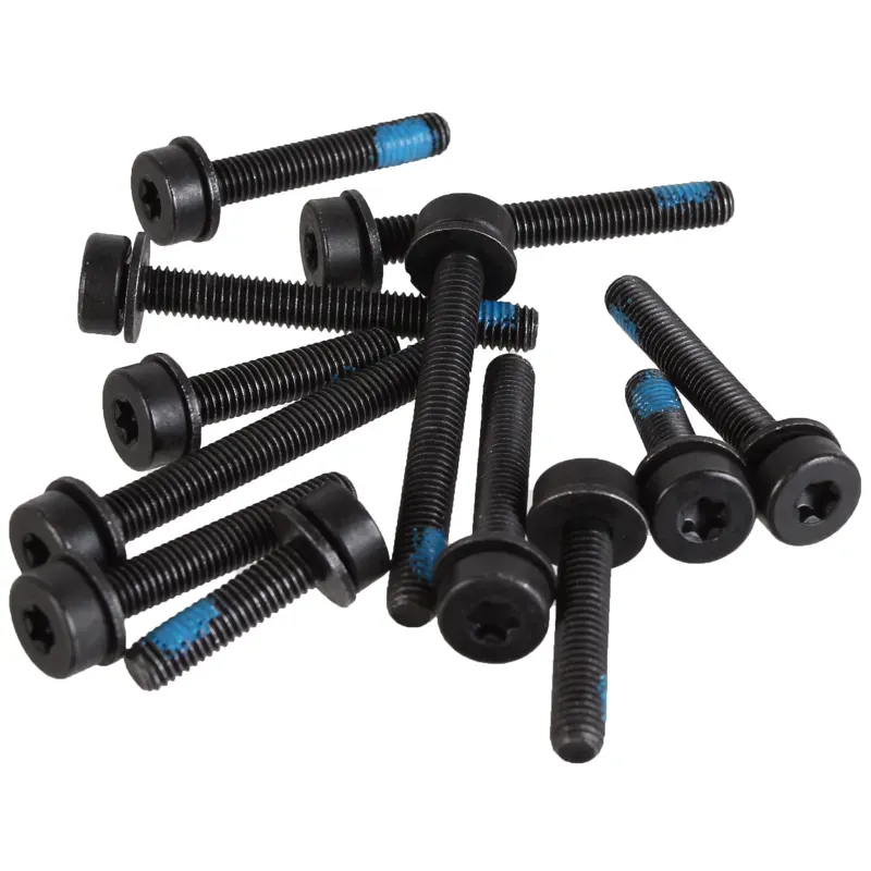 Magura T25 Rear Flat Mount Screw Set in Black