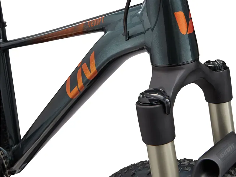 Liv Tempt 0 Mountain Bike in Stardust Grey-7