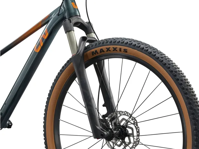 Liv Tempt 0 Mountain Bike in Stardust Grey-5