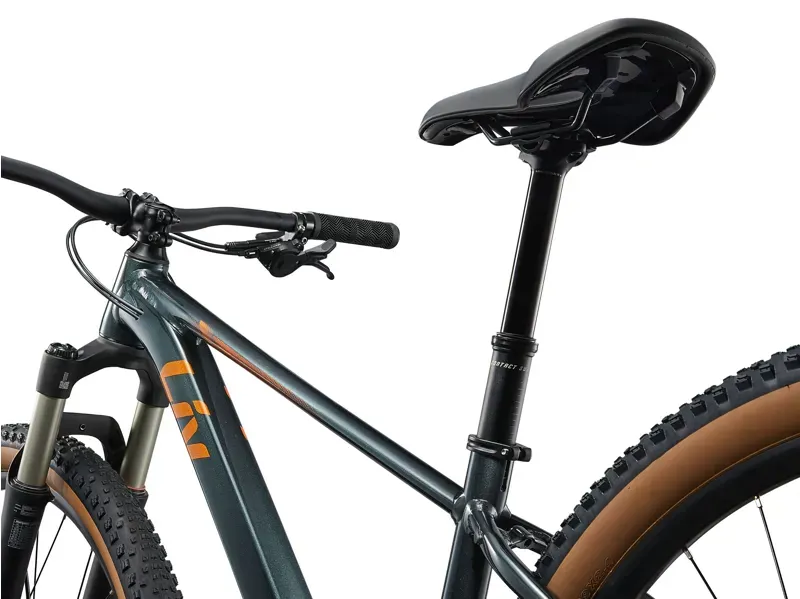Liv Tempt 0 Mountain Bike in Stardust Grey-8