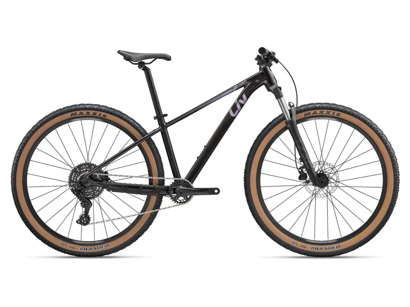 Liv Tempt 2 Mountain Bike in Obsidian Pulse