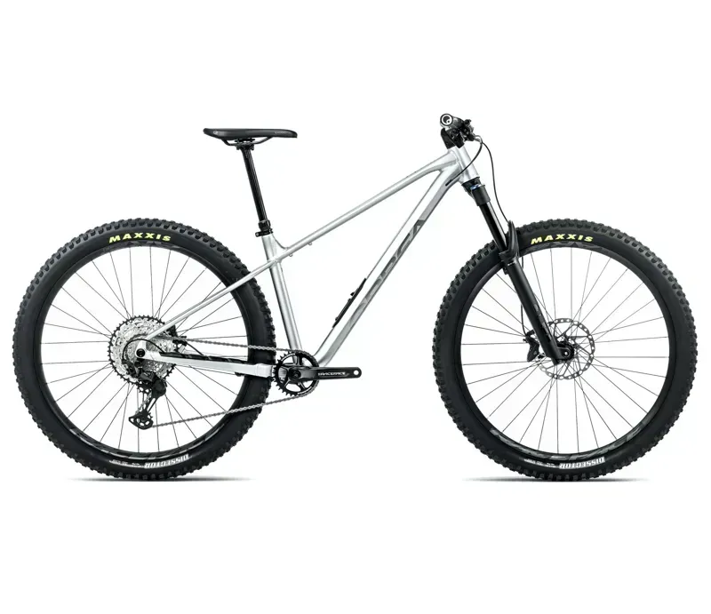 Orbea Laufey H- Ltd Mountain Bike in Smooth Silver Matt/Titanium Gloss