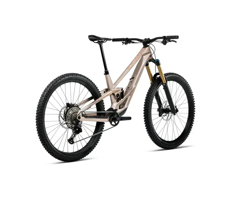 Orbea Rallon E10 Mountain Bike In Nickel Matt/Nickel Chrome Gloss-2