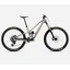 Orbea Rallon E-LTD Mountain Bike in Nickel Matt Nickel Chrome Gloss