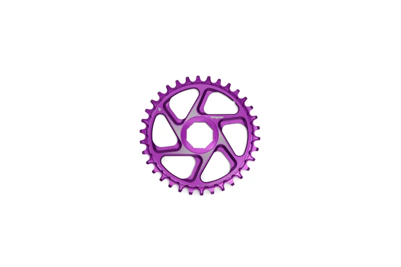 Spiderless Chainring Bosch E Bike-1
