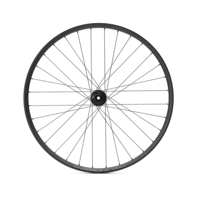 Amflow PL Alloy Front Wheel 29er