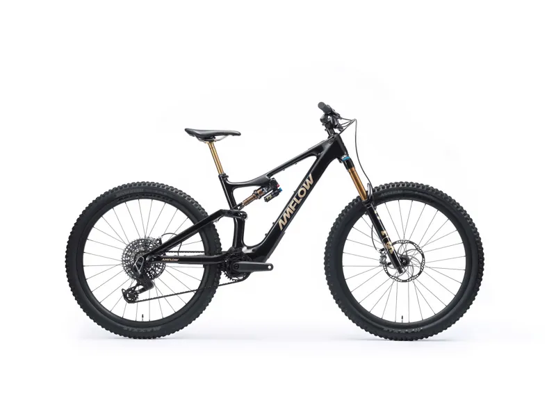 Amflow PL Carbon Pro Ebike 800wh-1