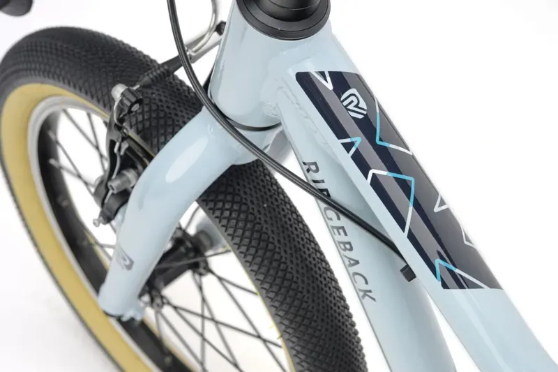 Ridgeback Dimension 16 Kids Bike in Bristol Blue-10