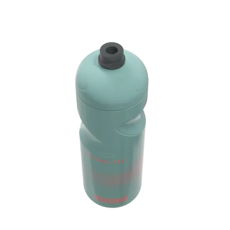 Sigg Pulsar Bottle in Morning Blue-2