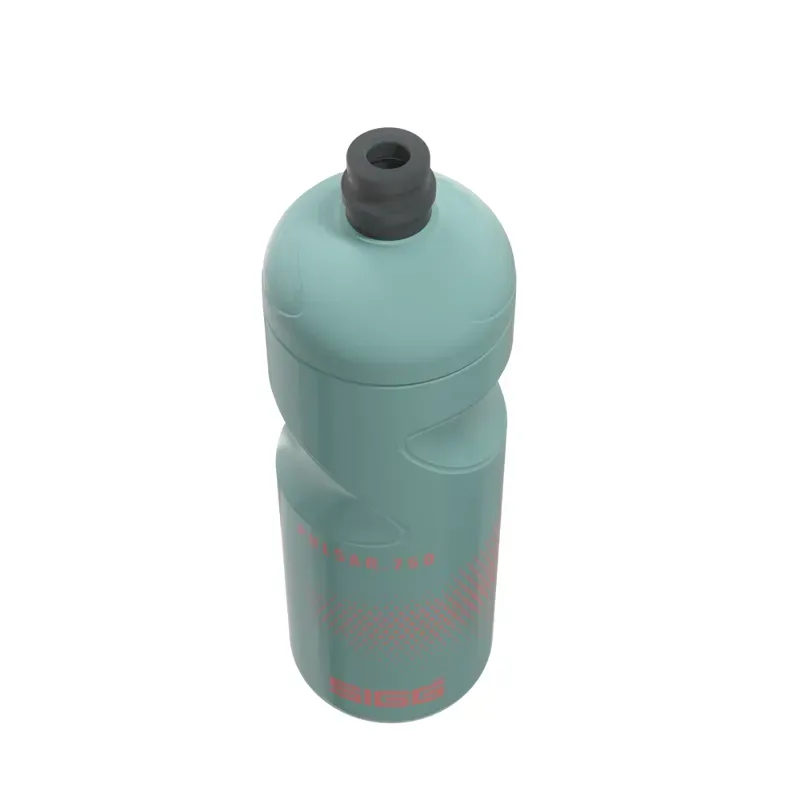 Sigg Pulsar Bottle in Morning Blue-3