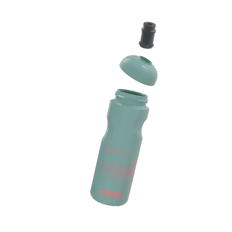 Sigg Pulsar Bottle in Morning Blue-4