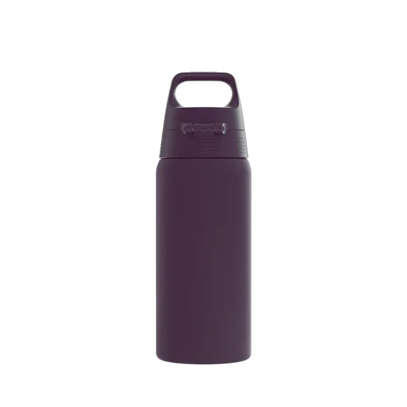 Sigg Shield Therm One Insulated Bottle in Nocturne-3