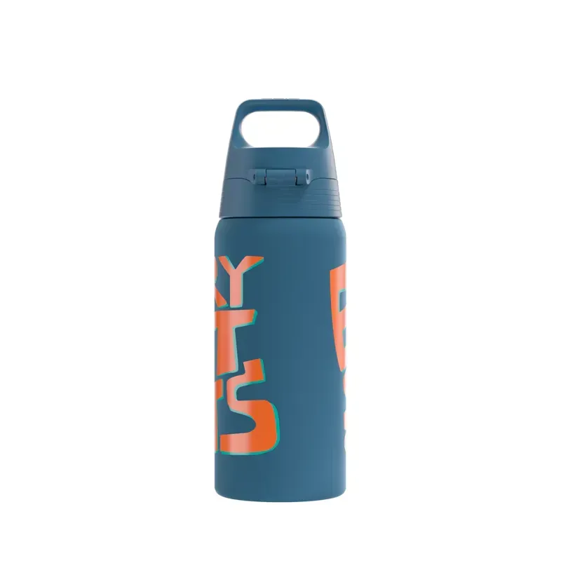 Sigg Kids Shield Therm One 500ml Bottle in Ballgame-1