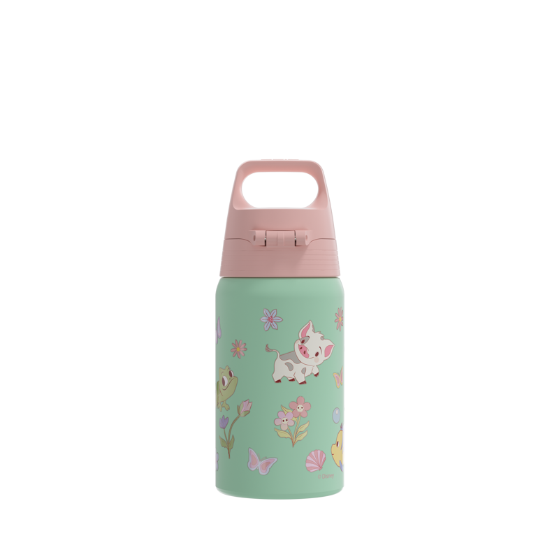 Sigg Kids Shield One 500ml Bottle in Princesses-1