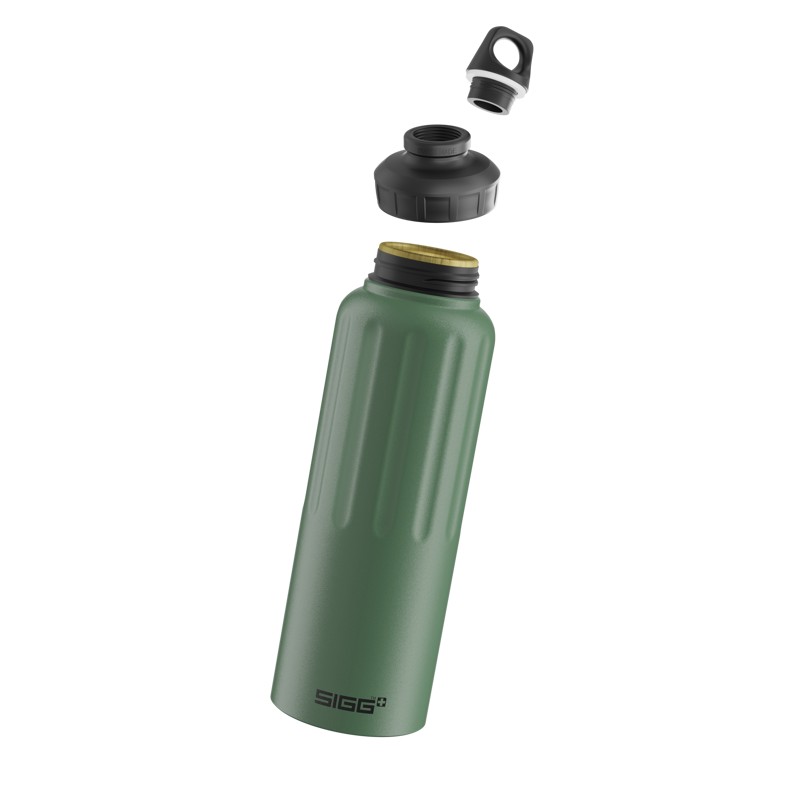 Sigg WMB 1.5l Traveller Bottle in Leaf Green-1