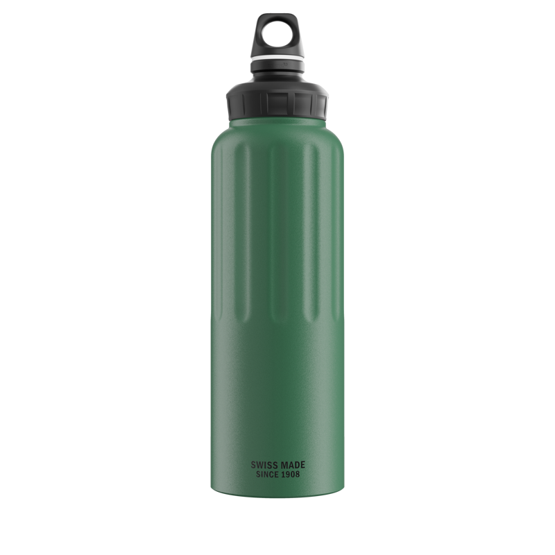 Sigg WMB 1.5l Traveller Bottle in Leaf Green-2