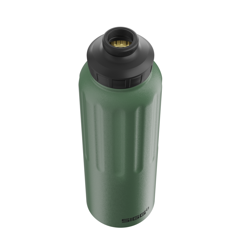 Sigg WMB 1.5l Traveller Bottle in Leaf Green-4
