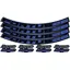 Hope Fortus Decal 26-27.25 in Blue
