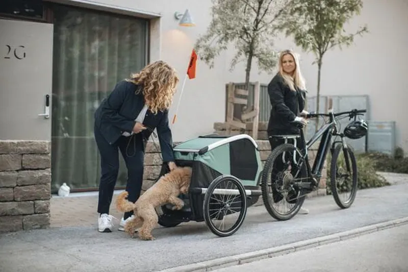 Thule TRAILER BT Bexey Dog Trailer M Green Medium-4