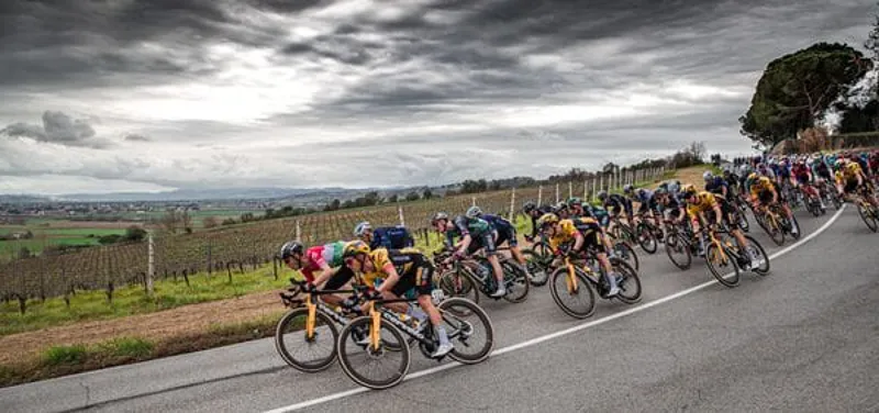 Vittoria Corsa Pro Clincher Black Tan G2.0 Tyre-2