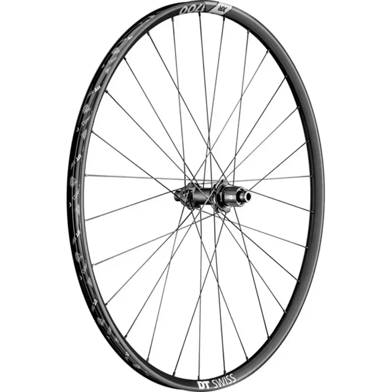 DT Swiss XR1700 BOOST MicroSpline 29in Rear Wheel in Black
