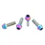 Wolf Tooth Titanium Bottle Cage Bolts in Oil Slick
