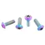 Wolf Tooth Low Profile Titanium Bottle Cage Bolts in Oil Slick